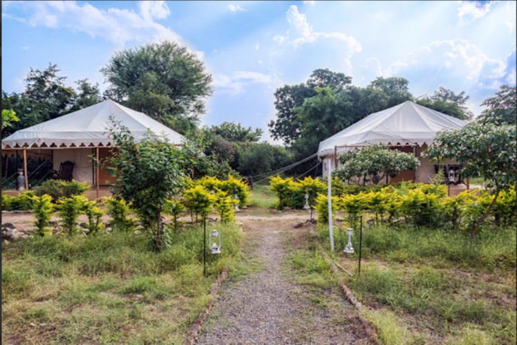 Jawai Leopard Camp, Pali