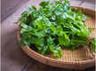 
Coriander for beauty? You bet!
