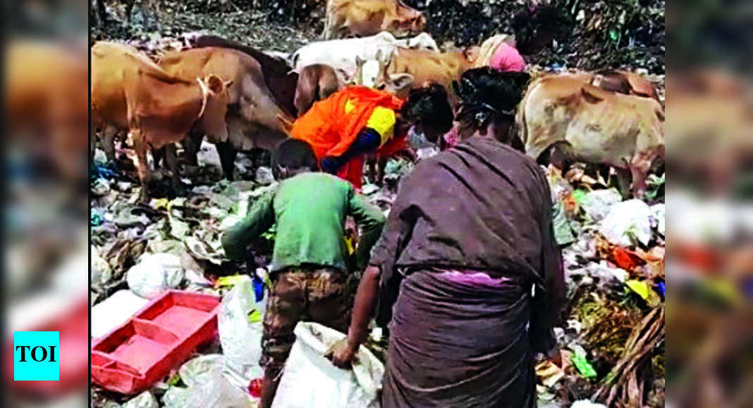 Irregular Garbage Collection, Excessive Charges Talking Point Ahead Of ...