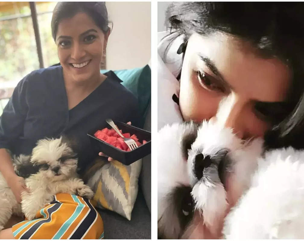 
Varalaxmi Sarathkumar shares an adorable video of her pet, Gucci

