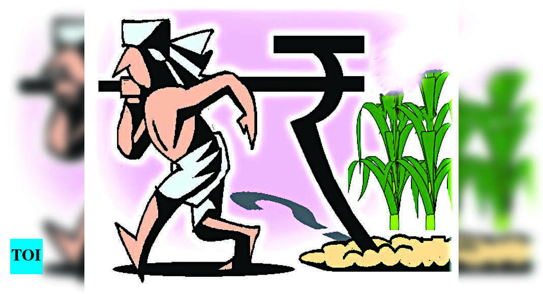 Raipur Govt Plans To Connect Agriculture Economy With Industries