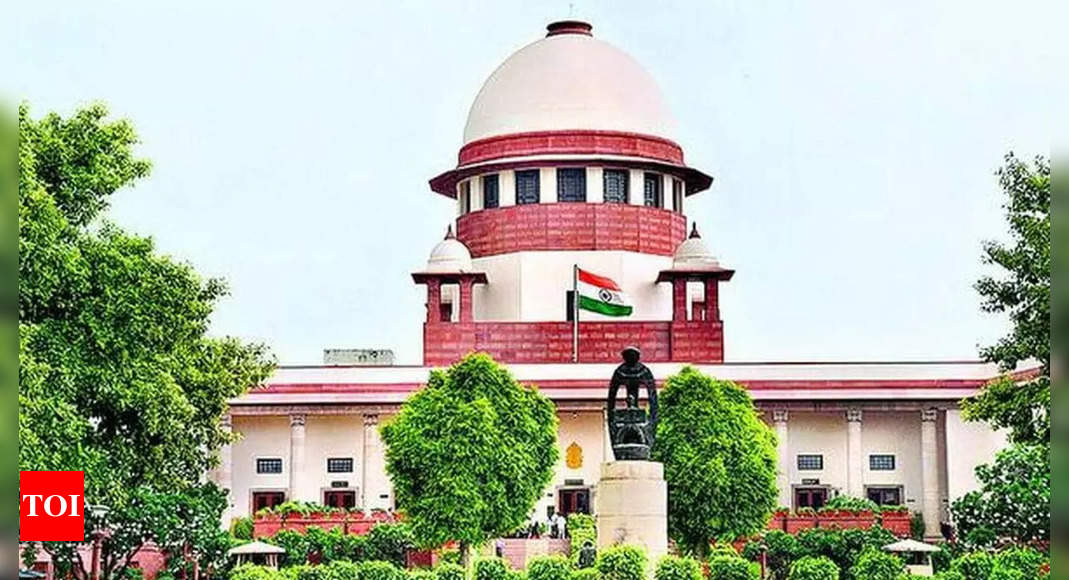 Why single out J&K for delimitation, asks PIL in SC | India News – Times of India