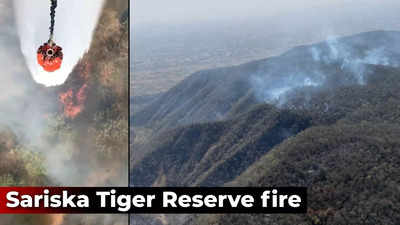 Rajasthan: Fire engulfs territory of tigress and cubs at Sariska Tiger Reserve