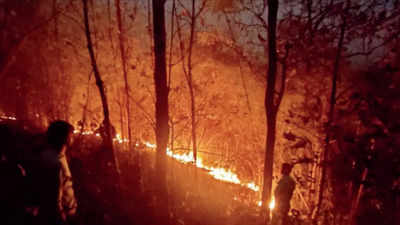 Fires ravaging Maharashtra forests, 1,347 incidents in 2 days: FSI