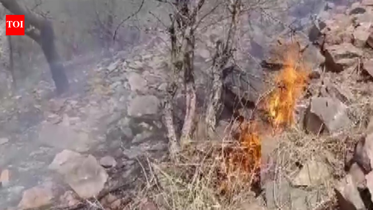 Photos: Wildfire rages in Rajasthan’s Sariska Tiger Reserve