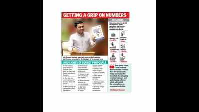 No new levies, Goa CM focus on job creation, swayampurna