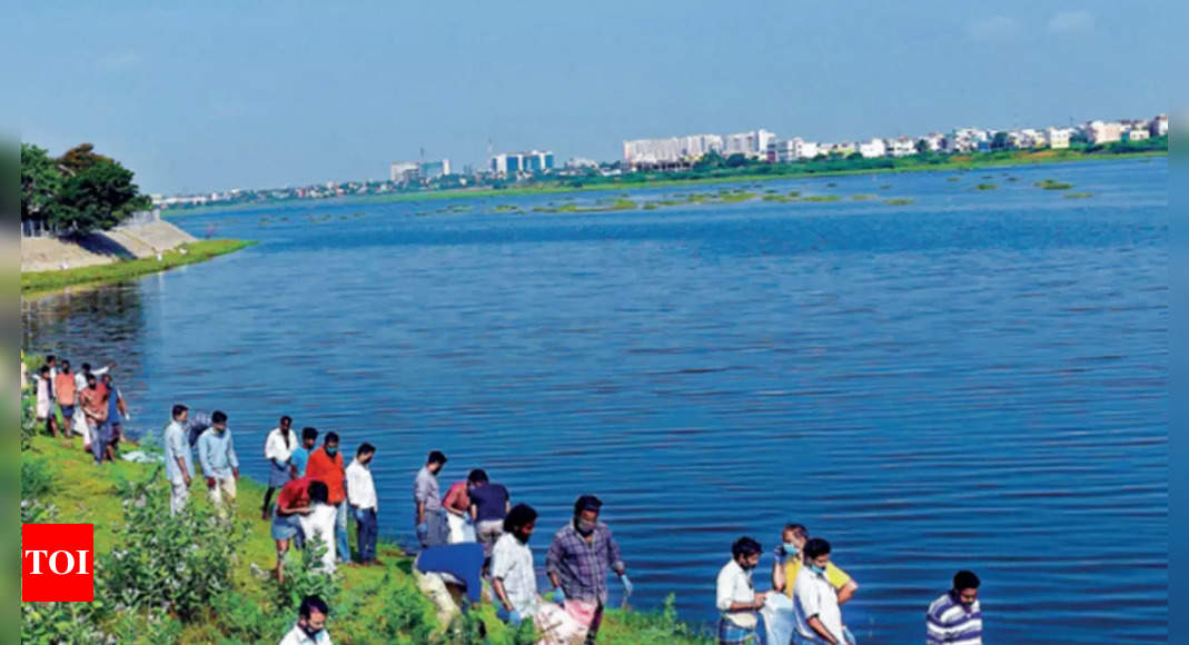 TN wetlands worth Rs 17,000cr a yr: Study