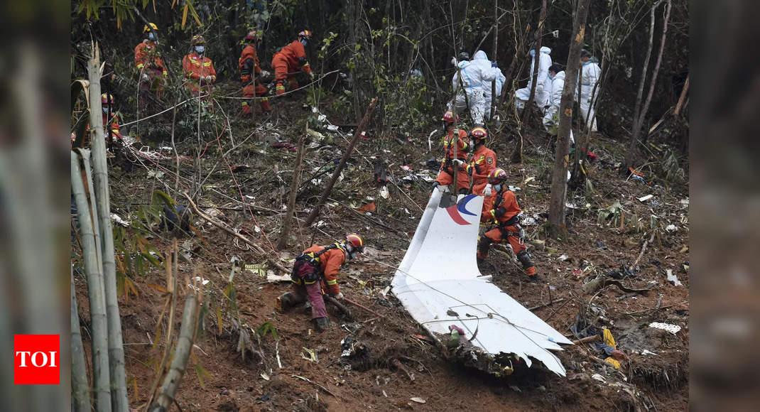 Search finds 49,000 pieces of plane in China Eastern crash – Times of India