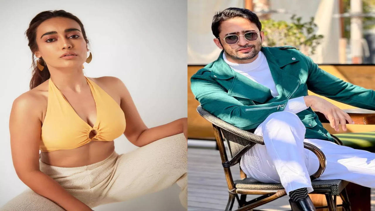 Surbhi Jyoti trends on Twitter after making an announcement of doing a  music video with Shaheer Sheikh - Times of India