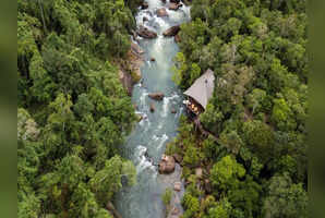 World&rsquo;s most beautiful jungle hotels for a thrilling experience!