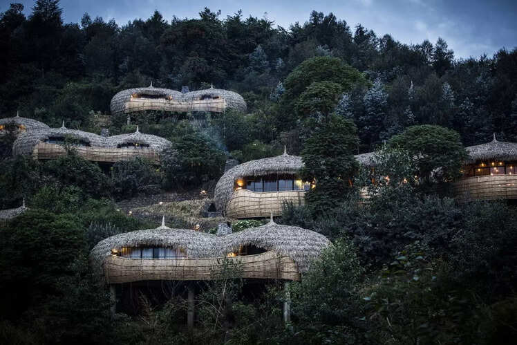 Wilderness Safaris Bisate Lodge, Rwanda