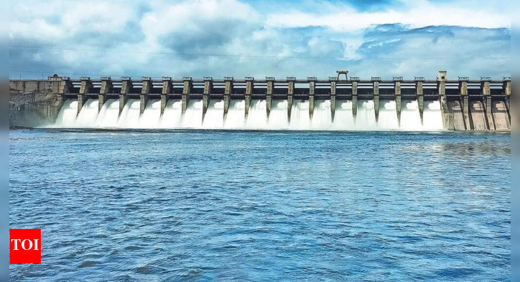 National Water Award: Raj Gets Second Prize | Jaipur News - Times of India