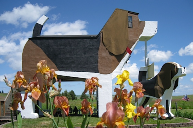 Dog Bark Park Inn, Idaho