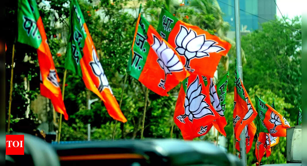 BJP touches mark of 100 seats in Rajya Sabha for first time