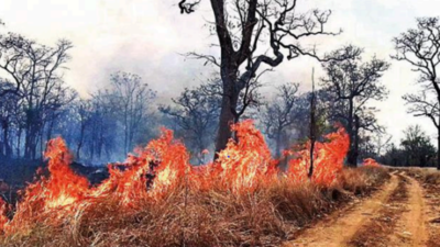 Telangana reports over 11,000 forest fires from November till date
