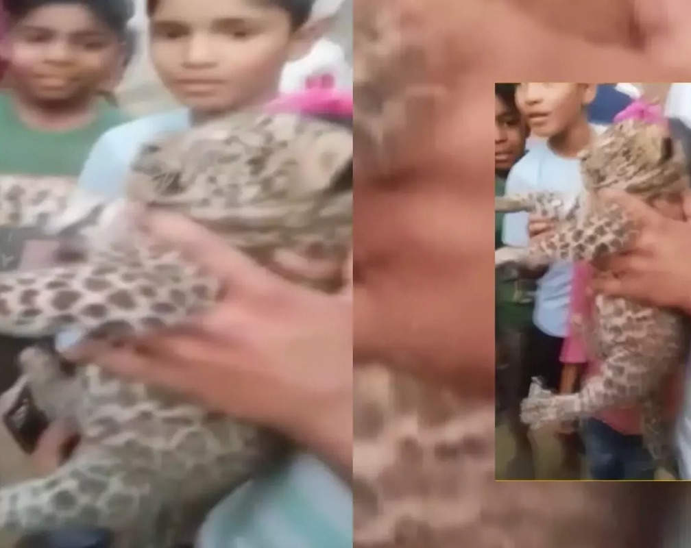 
UP: Forest department rescues leopard cub in Meerut, search for mother on

