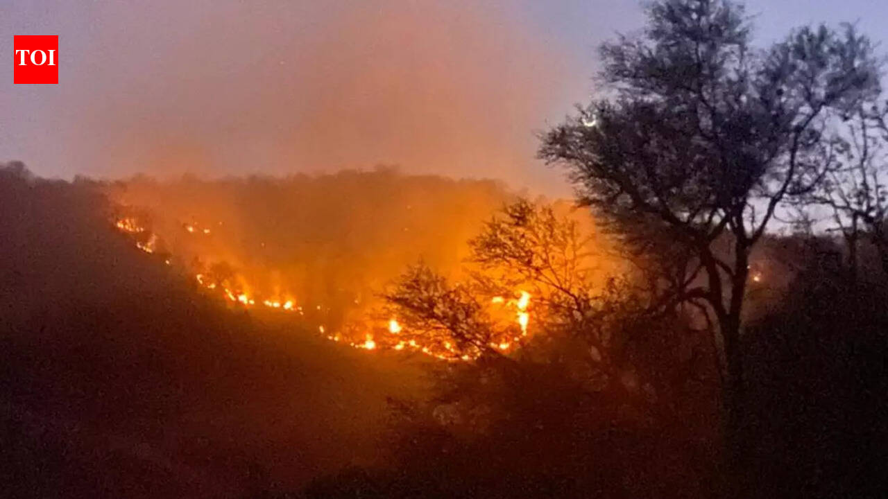 Photos: Another fire breaks out at Sariska Tiger Reserve