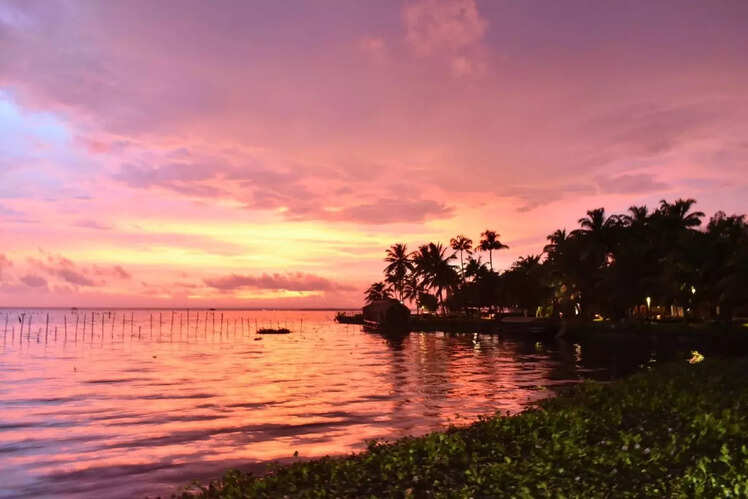 Kumarakom Lake Resort, Kerala