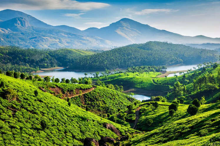 Munnar for tea lovers