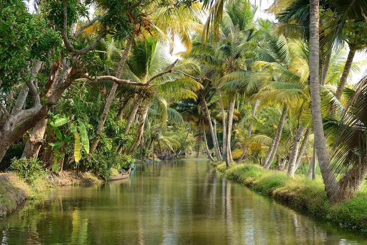 ​Go bird watching at Kumarakom