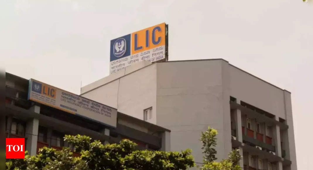 India considers seeking $6.6 billion in mega LIC IPO – Times of India