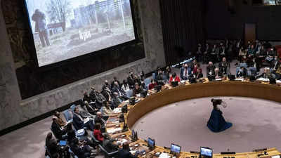 Unequivocally condemn Bucha killings, support call for independent investigation: India at UNSC