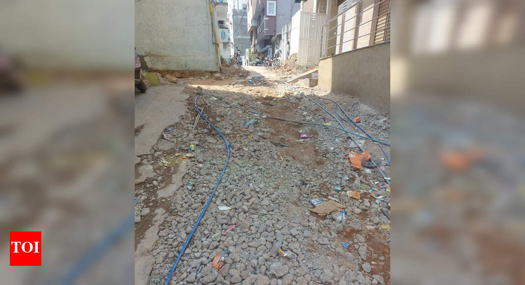 Banjara Hills Road No 10 roads in bad condition Times of India