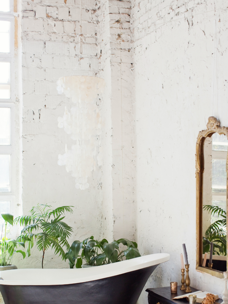 Bathroom plants that absorb moisture | Times of India