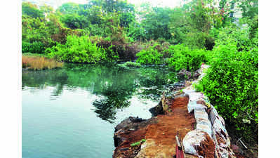 ‘HC-apppointed panels have failed to protect wetlands & mangroves’
