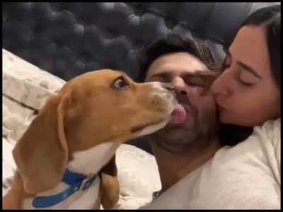 Varun Dhawan gets kisses from wife Natasha Dalal and pet Joey in new video; Anushka Sharma says, 'Kya baat hai'