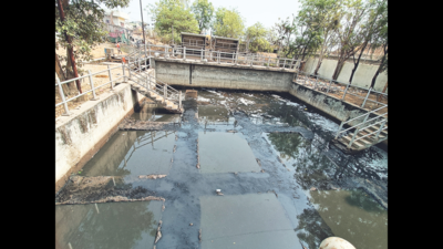 Punjab: CPCB finds 86% of sewage treatment plants in Satluj catchment area non-compliant