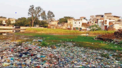 Noida: NGT sets up panel to curb wetland encroachments in Gautam Budh Nagar