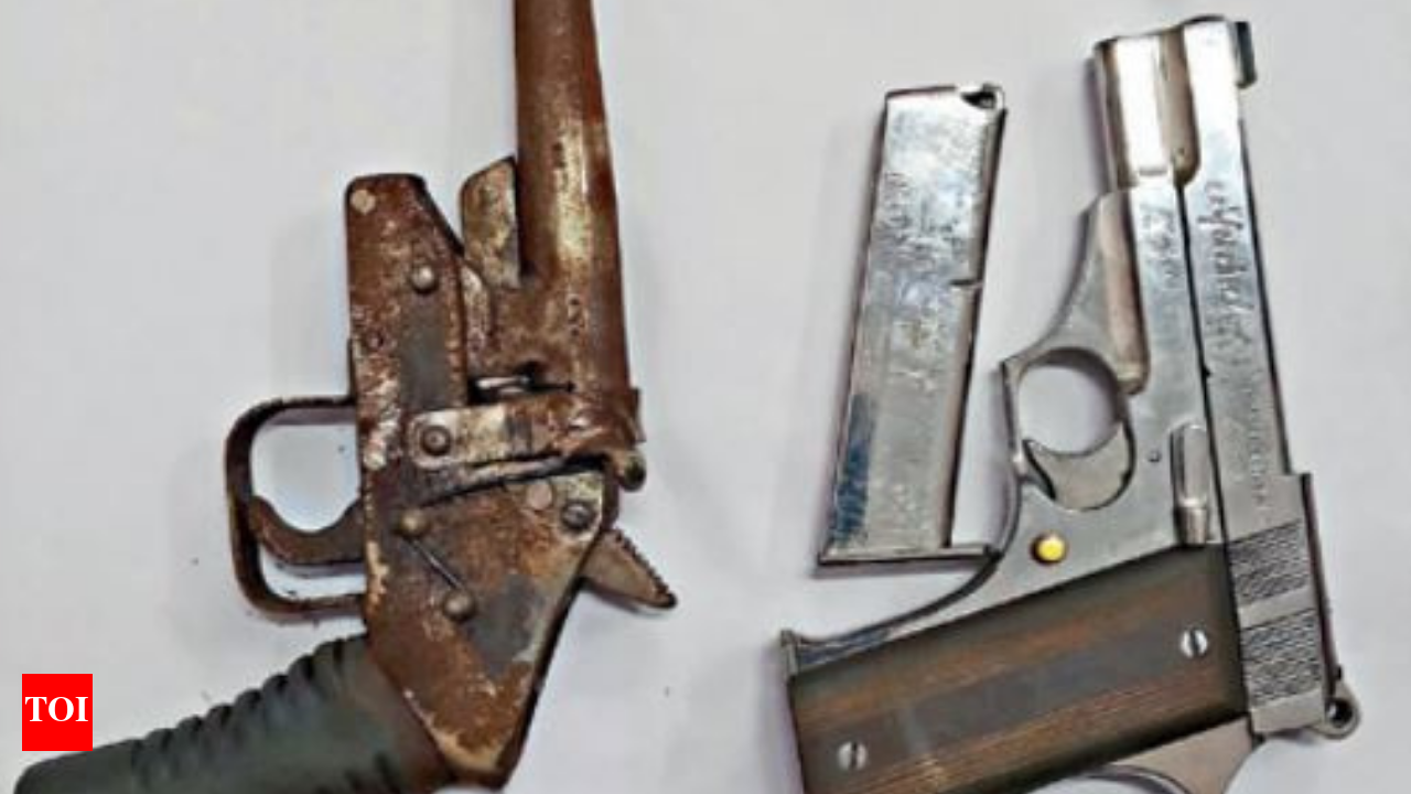 Transvagina nimaga oxshaydi?