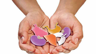 Organ donation in Indore after 3 months