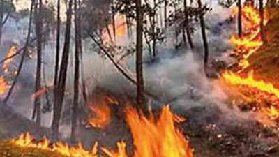 Forest fires double in Uttarakhand since March
