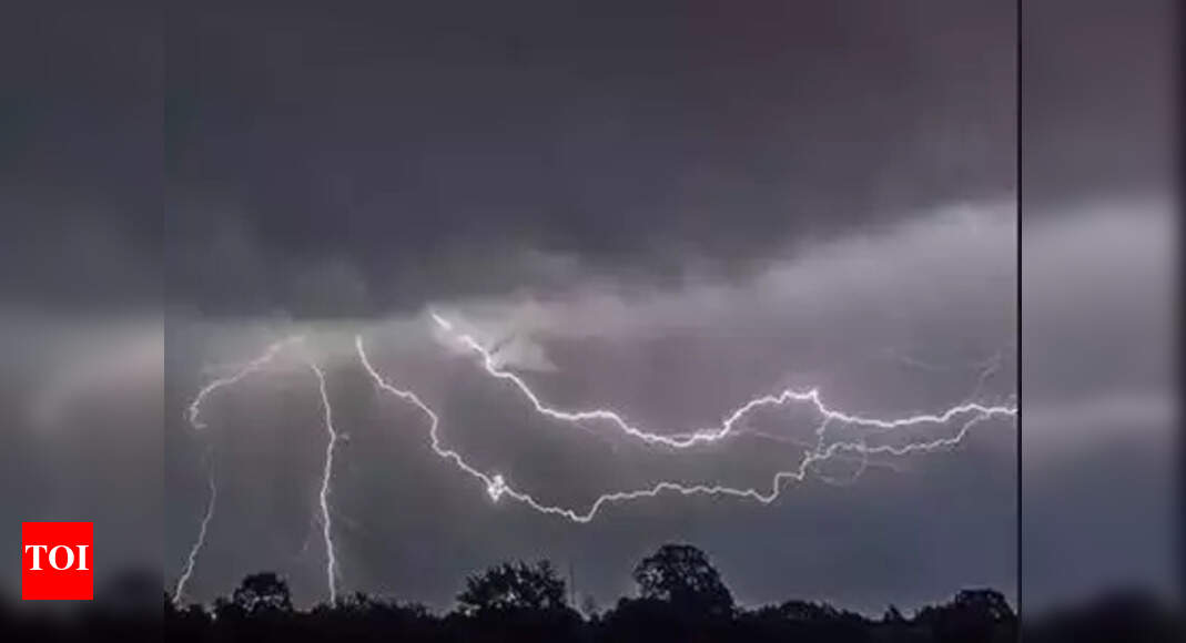 UP MLC poll result live: BJP makes clean sweep