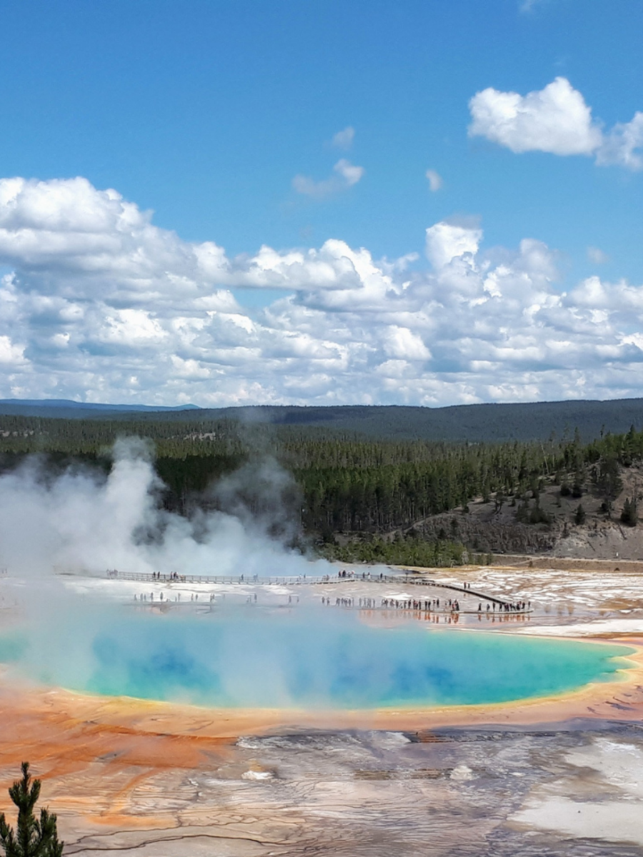 Natural hot water geysers that are a hit with tourists! | Times of India