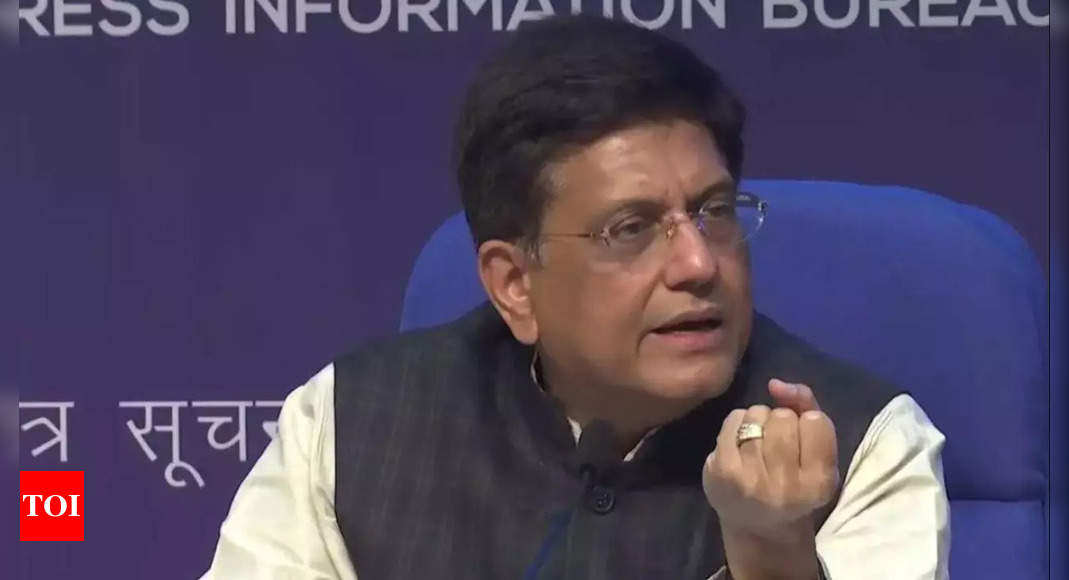 We should take textiles exports to $100 billion by 2030: Piyush Goyal – Times of India