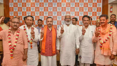 BJP sweeps council polls, wins majority with 33 seats