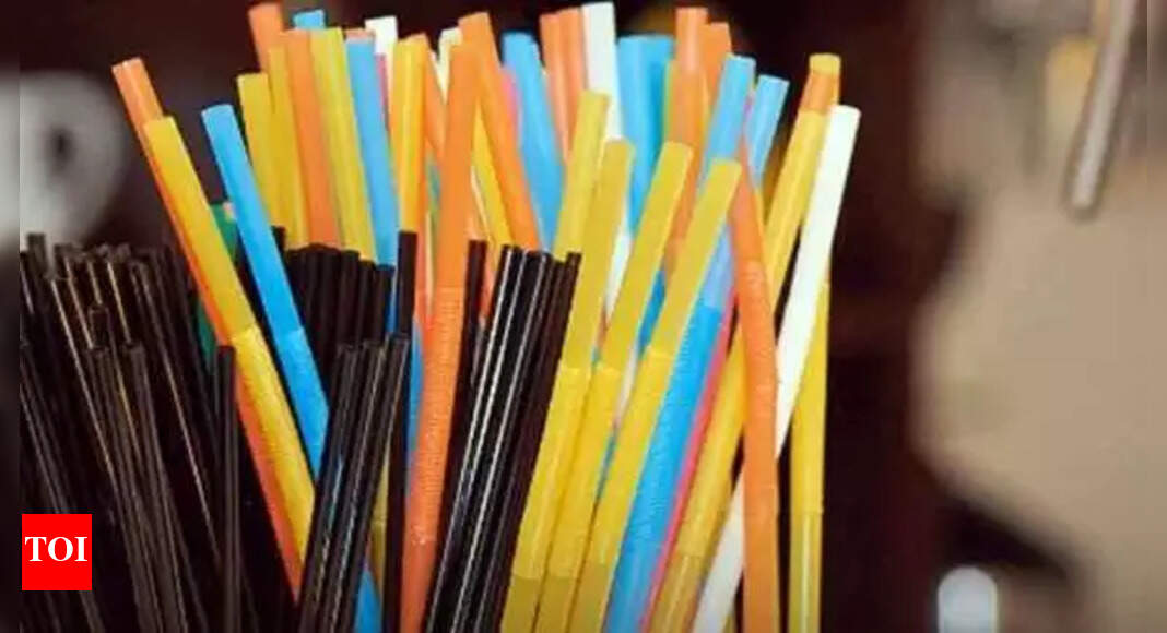 Plastic ban Imported paper straws to have cost implications, says