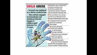 Accused grantedconditional bail in child porn case | Goa News ...