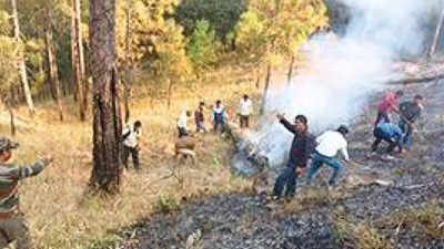 Uttarakhand forest department seeks Army's help to put out wildfire in Almora