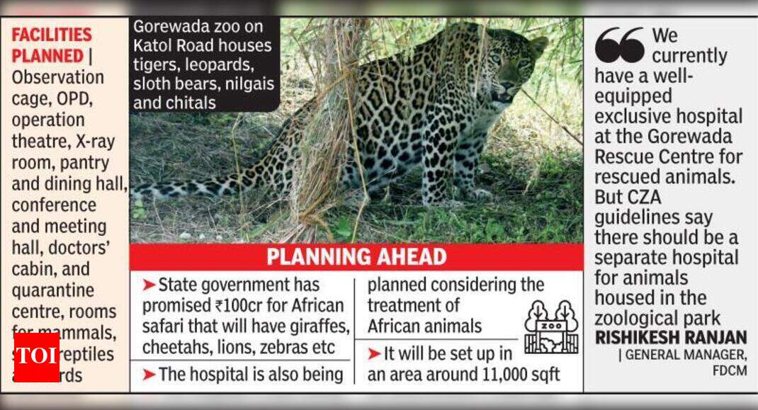 Gorewada to get separate hospital for zoo animals | Nagpur News - Times of India Gorewada to get separate hospital for zoo animals | Nagpur News - Times of India