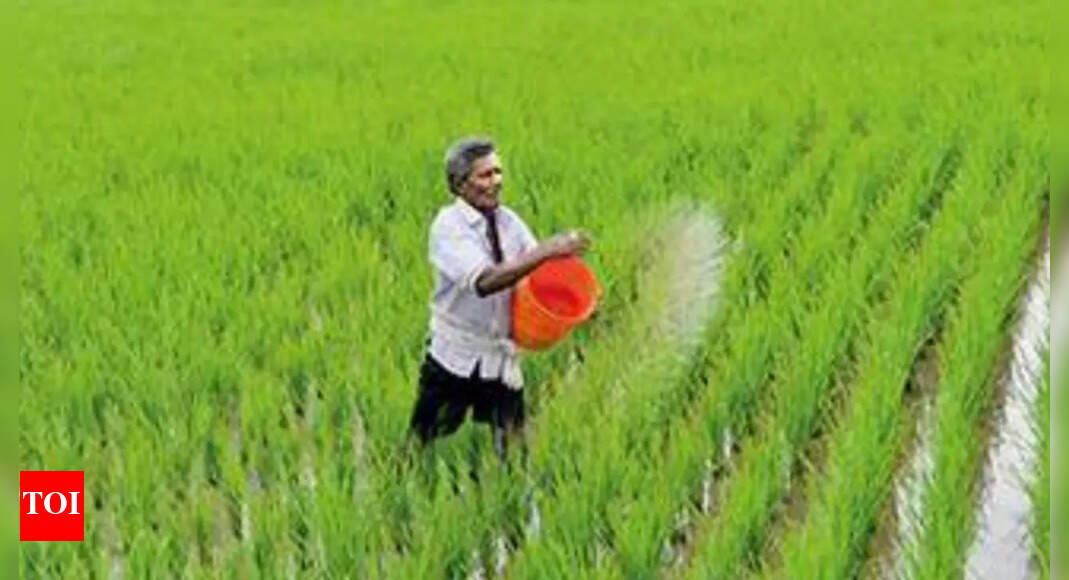 Food Production Touches 118 Lakh Tonnes In State Chennai News Times