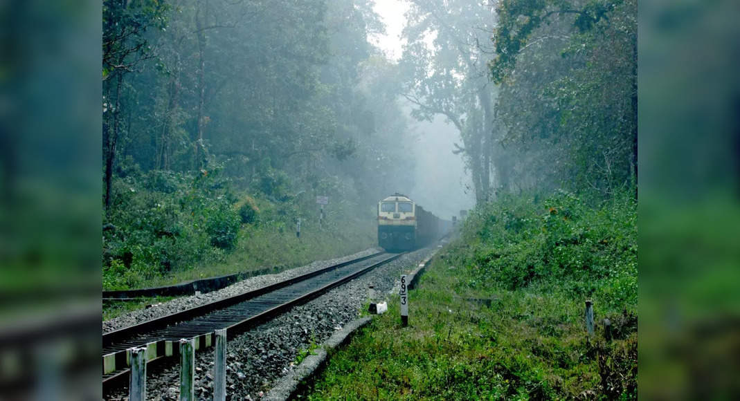 The most beautiful train rides that you can experience in India | Times of  India Travel