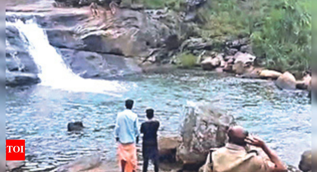 Youth Drowns In Waterfalls | Kochi News - Times of India