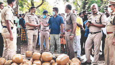 Ernakulam Rural police seize 250kg of ganja