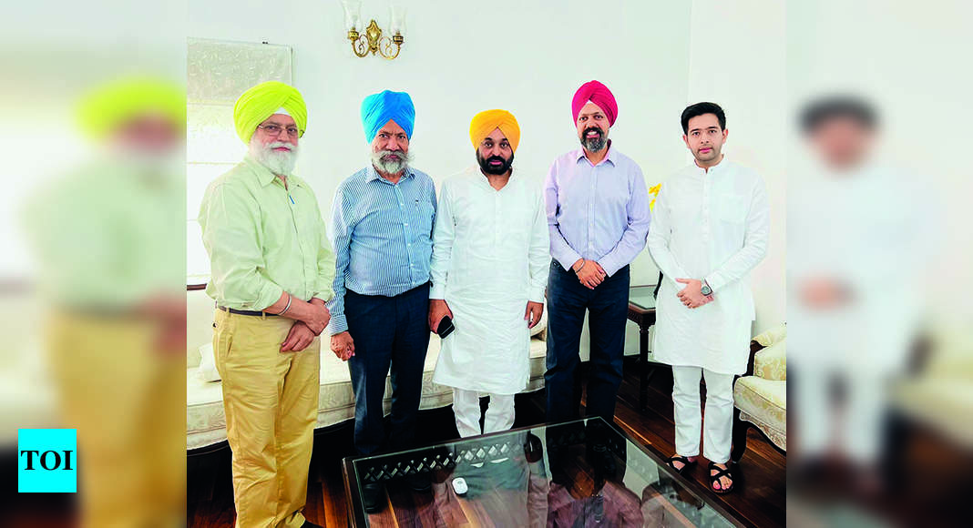 dhesi:   BJP leader criticises Punjab CM over meeting with UK MP Dhesi | India News – Times of India