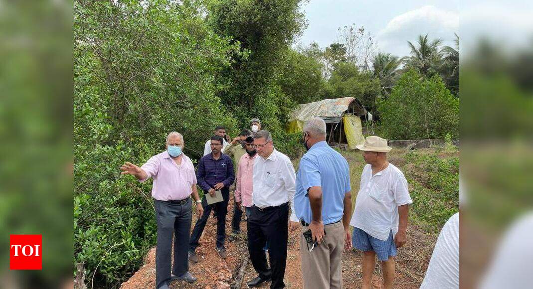 Ferreira pitches for desilting of water channels in Aldona - Times of India