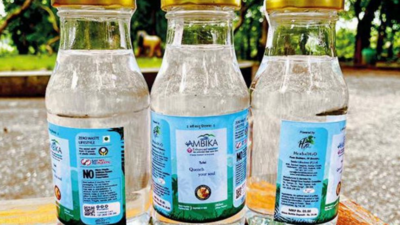 Glass herbal water bottles for summit in Surat